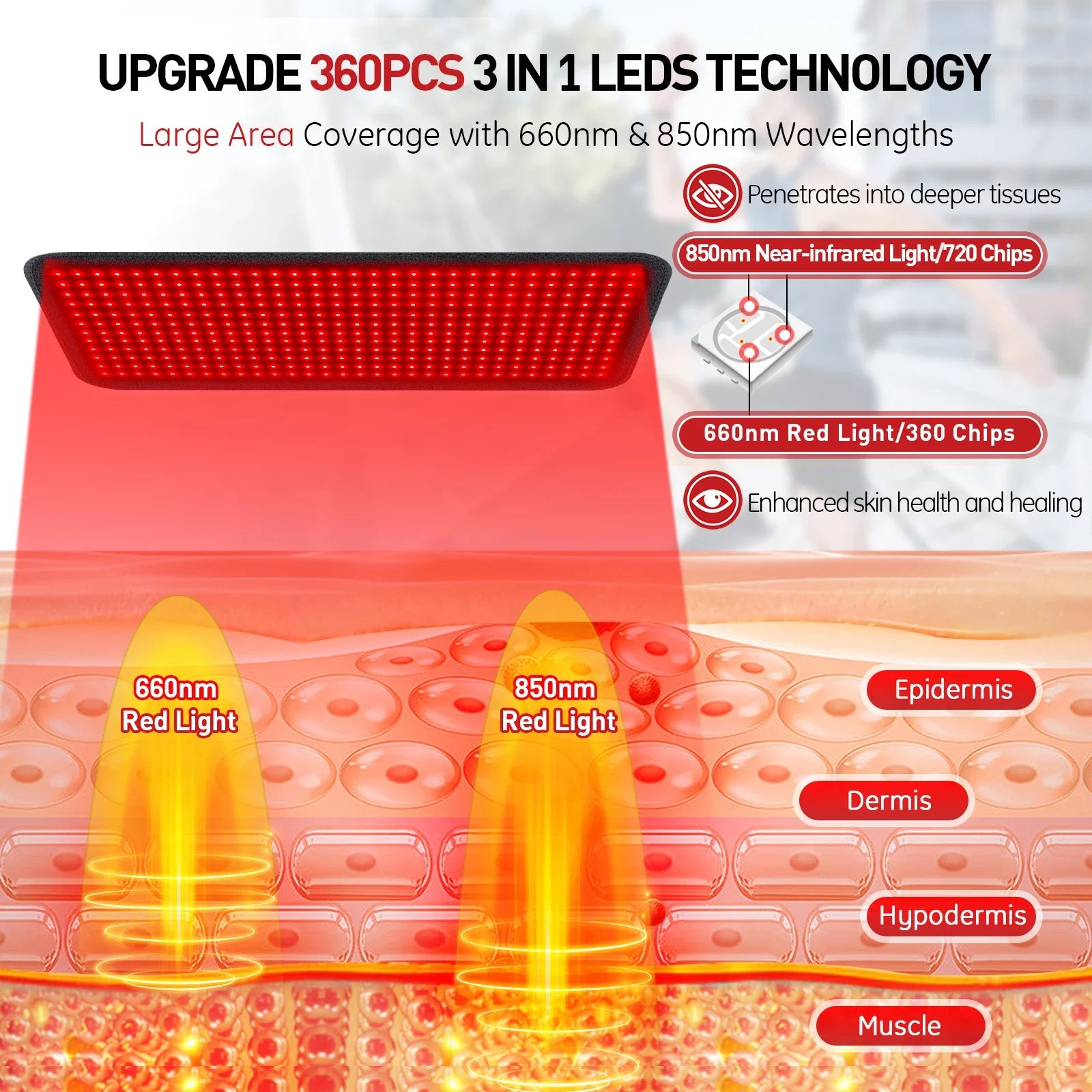 Red light therapy panel with 660nm and 850nm wavelengths diagram, skin penetration layers shown